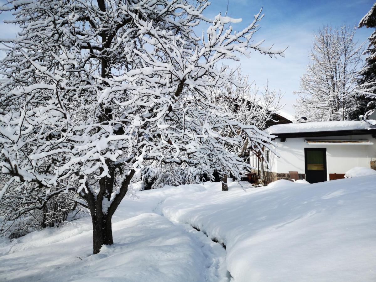 Appartchalet La Rondula Aparthotel Ortisei Exteriör bild